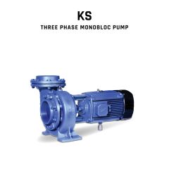Monoblock pump